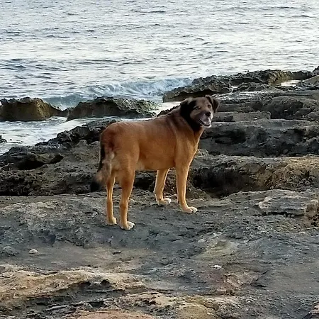 Almolo Сasa de vacaciones